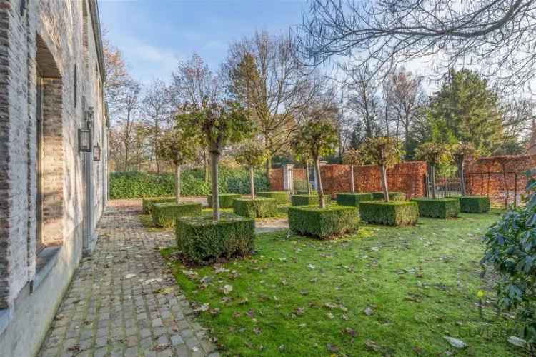 Koop villa in Schilde met prestigieuze uitstraling