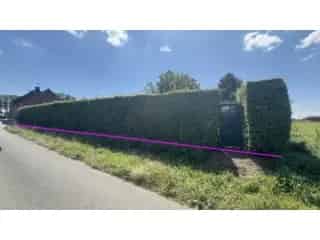 Bouwgrond Sirault 19 are 20 ca - 2 straten toegang