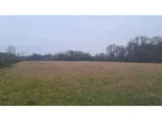 Landbouwgrond te Koop Schriek 10951m²