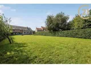 Fermette te koop Tongrinne 5 slaapkamers grote tuin