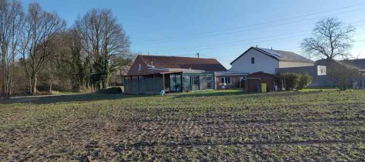 Bouwgrond Geel 1 Ha Weiland Grote woning