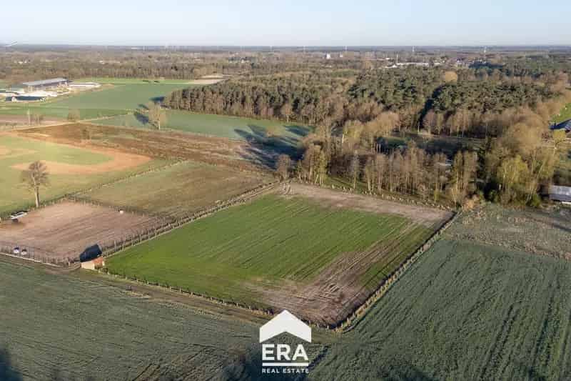Ruime Weidegrond te Koop Oudsbergen