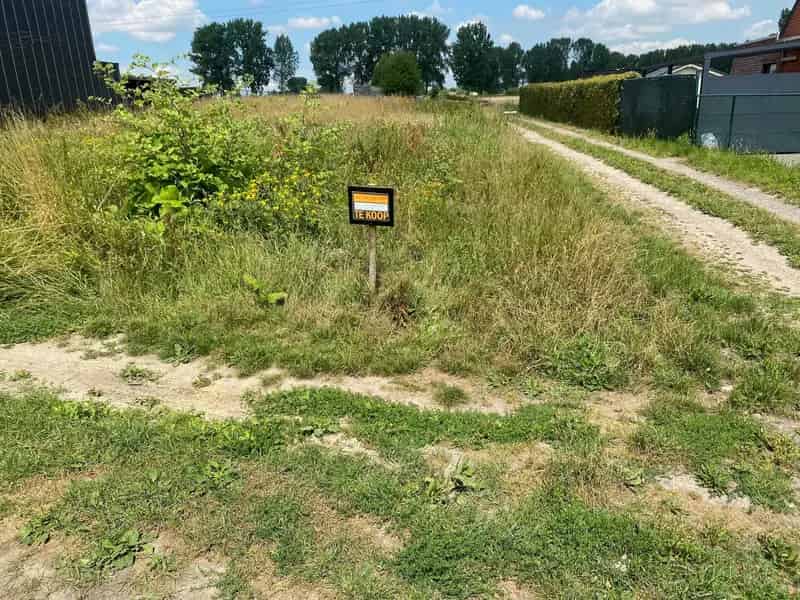 Bouwgrond te Koop Steendorp 546m2 Geen Bouwverplichting