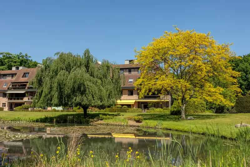Penthouse te koop met 3 slaapkamers en uniek uitzicht