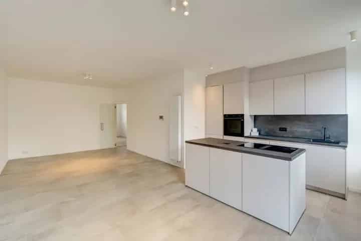 Gerenoveerde Instapklare Woning Wilrijk Ruime Garage 3 slaapkamers