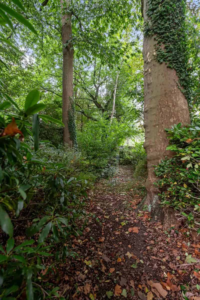 Herenwoning met loods en tuin 6872 m²