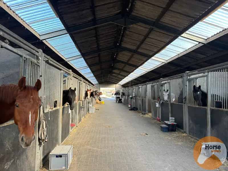 Paardenaccommodatie Kampenhout 56 Stallen Binnen Buitenpiste