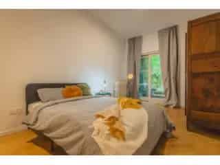 Appartement in medehuur Brussel Avenue Franklin Roosevelt