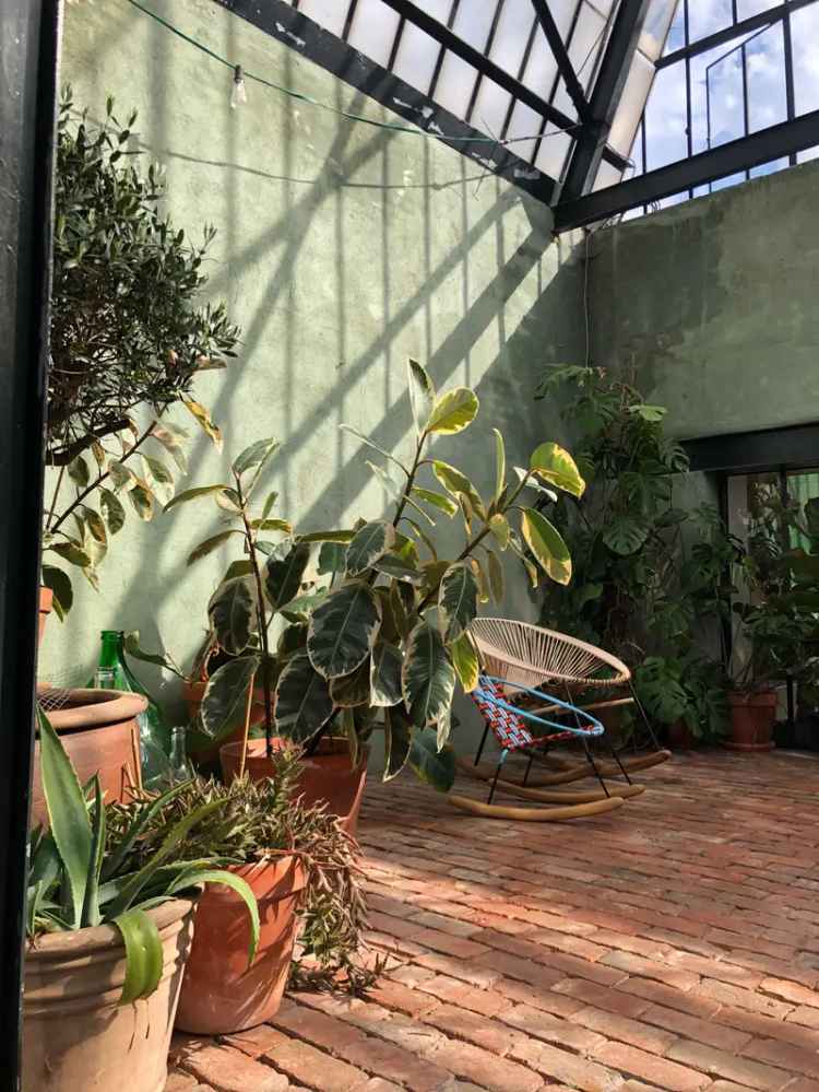 Herenwoning Borgerhout 3 slaapkamers tuin serre zwembad atelier