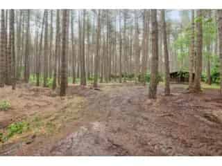 Chalet te koop Gierle - Bosgrond 2607m²