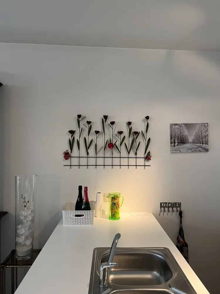 Appartement te huur: Instapklaar 2 slpk gelijkvloers met tuin en 2 staanplaatsen