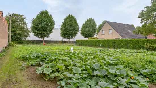 Bouwgrond geschikt voor open bebouwing in Wielsbeke