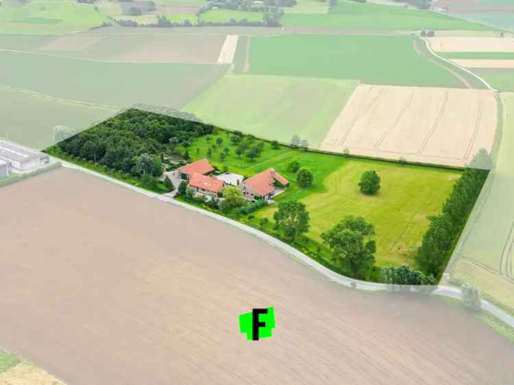 Recente hoeve met bijgebouwen op 2,9ha in Dranouter