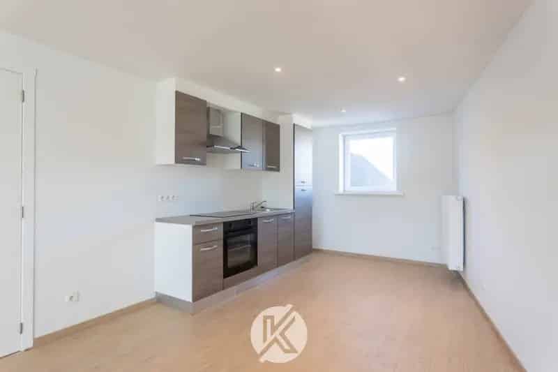 Duplexappartement te Huur in Woubrechtegem