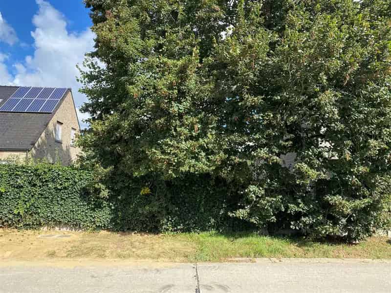 Bouwgrond Westerlo 10a13ca Rustige ligging