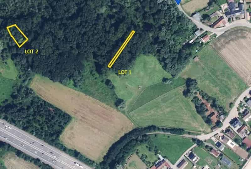 Bosgrond te koop Erembodegem