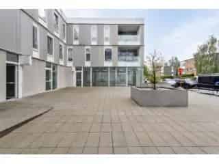 Handelspand te koop Sint Pieters Leeuw