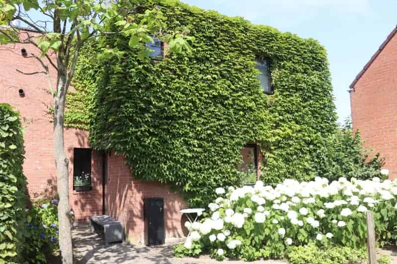 Rustige HOB 4 slaapkamers Garage Tuin Reet