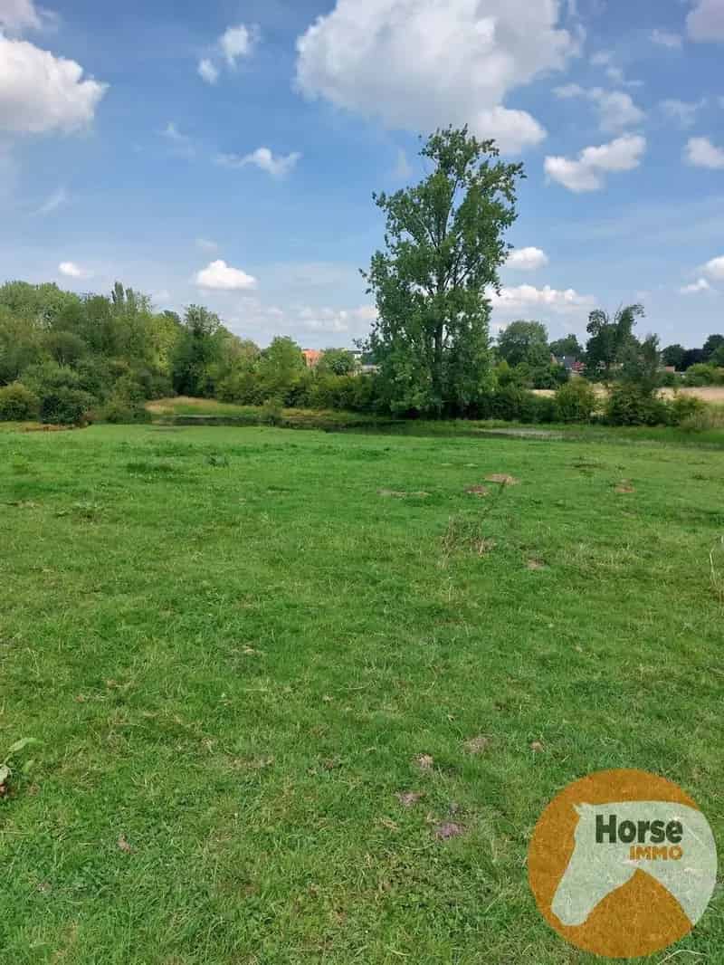 TONGEREN Weide 15 hectare