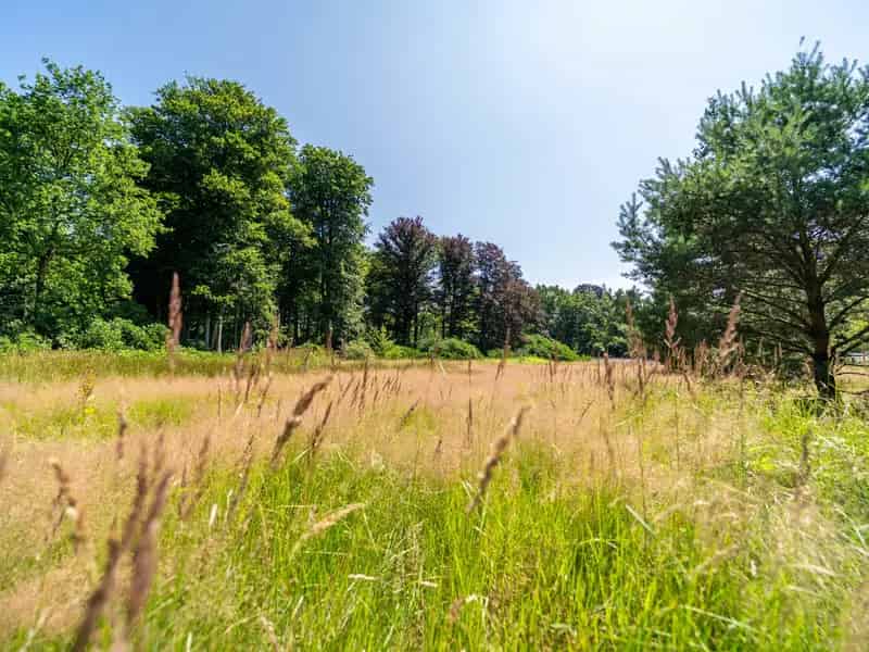 Bouwgrond kopen in Brasschaat met prachtige natuur en unieke kenmerken