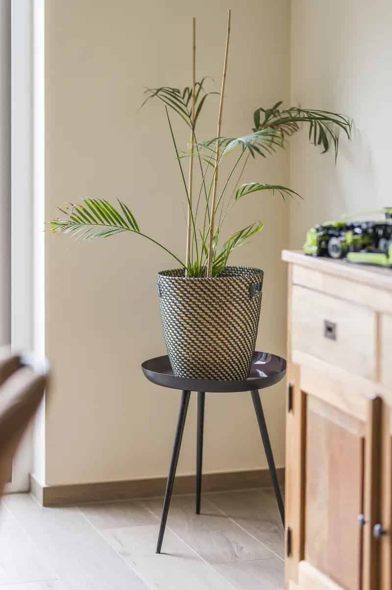 Appartement te huur nabij centrum Kemzeke