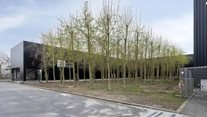 Magazijn met bureel te huur Wevelgem