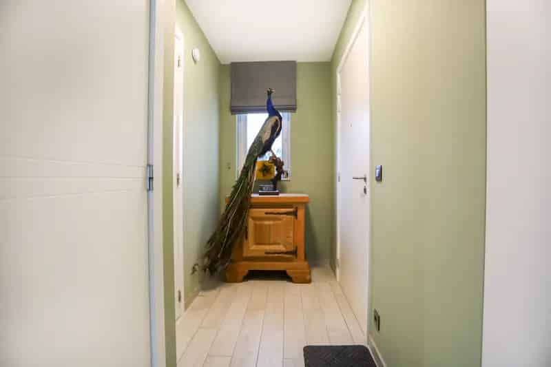 Appartement te huur 2 slaapkamers autostaanplaats