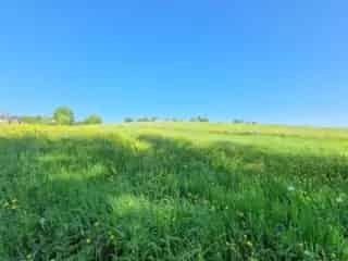 Bouwgrond te koop Les Hayons 1 hectare