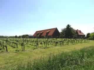 Boerderij met Wijngaard te Koop Boezinge