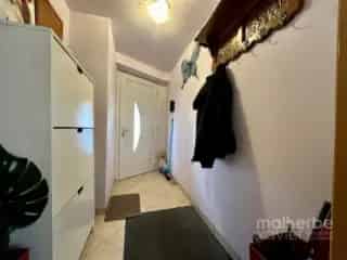 Huis gemengd gebruik Waimes 2x3 slaapkamers