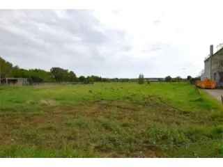 Bouwgrond Laakdal 1040m² - Landelijke Toplocatie