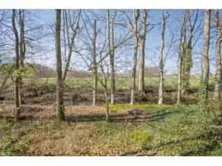 Bouwgrond Liezele - Rustig Wonen in Groene Omgeving