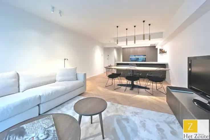 Gerenoveerd Appartement Te Koop Nabij Zeedijk Het Zoute