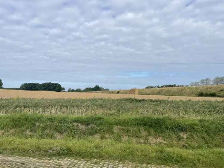 Verrassend ruime, landelijk gelegen woning van ca. 275m² met 5 kamers