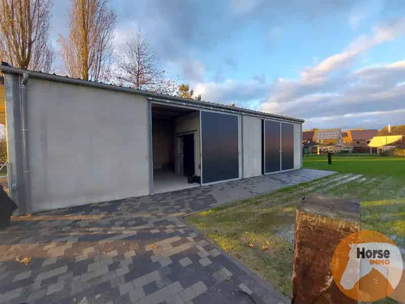 Weide met Stalgebouw te Lede