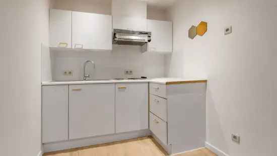 Duplex Appartement Gent 3 Slaapkamers Liedermeerspark