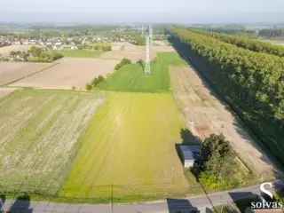 Handelspand te koop Maldegem 8190m²