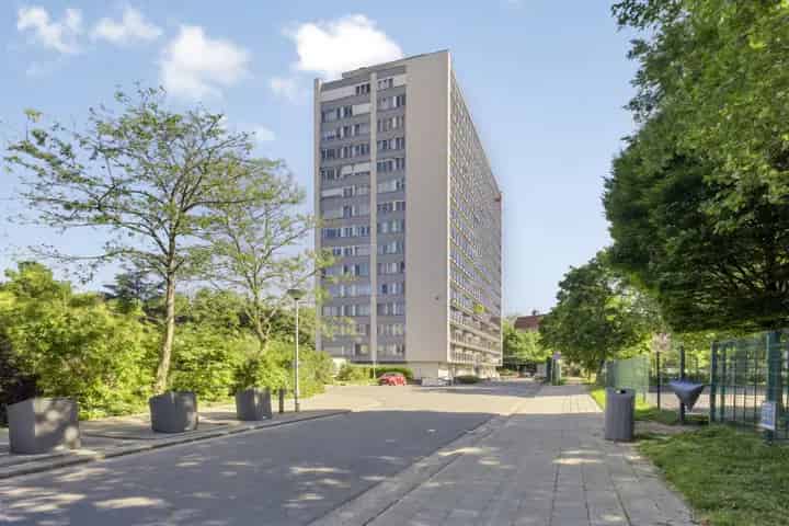 Appartement te Koop Antwerpen Berchem Lichtrijk Terras 13e Verdieping