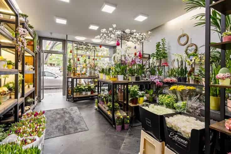 Handelspand met Woonst Sint Truiden - Toplocatie