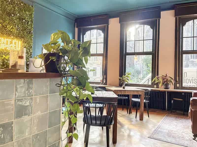 Bar te Koop Gent Centrum