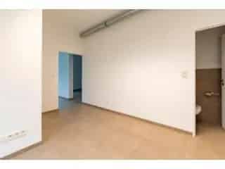 Handelspand te Huur Antwerpen