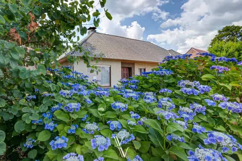 Huis te koop: Landelijke woning te renoveren