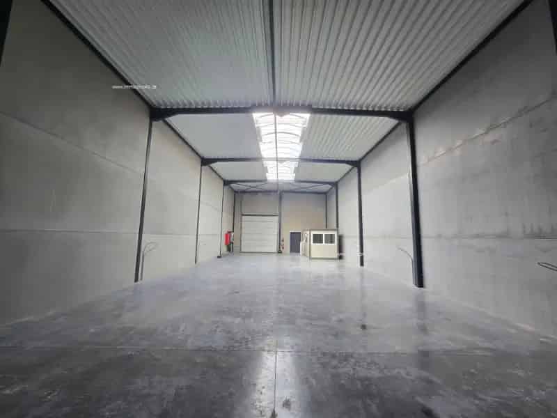 KMO Unit te Huur Pepingen 300m²