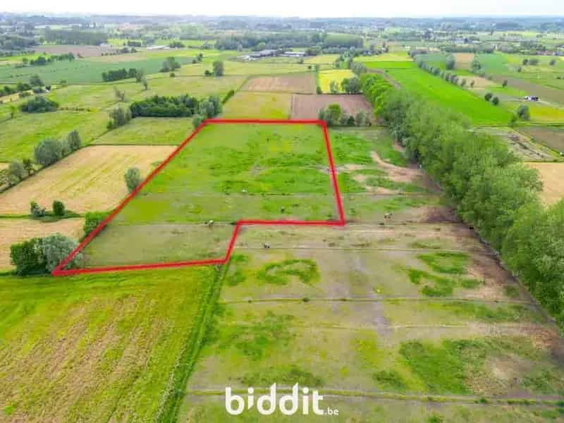 Landbouwgrond te koop Drongen 25440m2