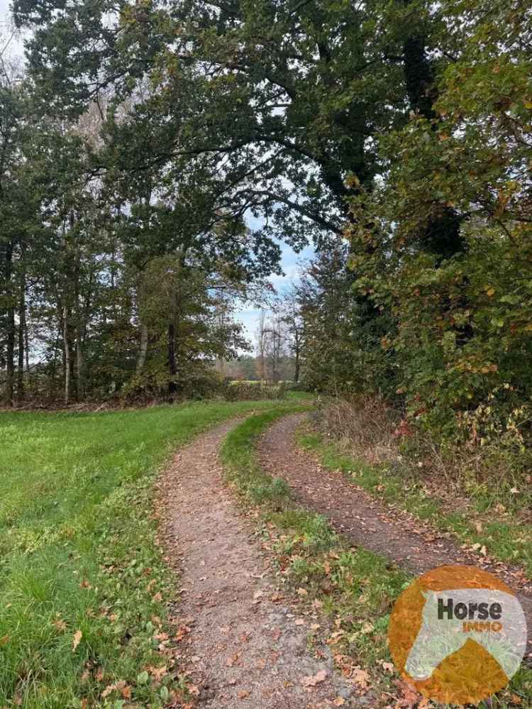 WAASMUNSTER- Unieke bouw- en weidegrond