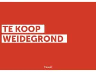 Landbouwgrond te koop Lede 14312m²