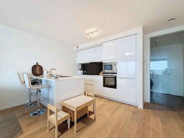 Te koop licht appartement met panoramisch uitzicht in Brussel