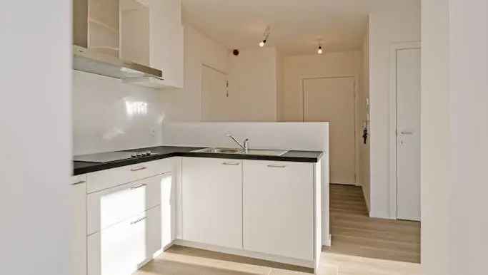 Assistentiewoning te koop in Van Schoonbekestraat 14, Antwerpen-Zuid - Dewaele