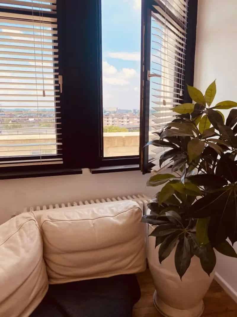 2 Slaapkamer Appartement Antwerpen Jan van Rijswijcklaan