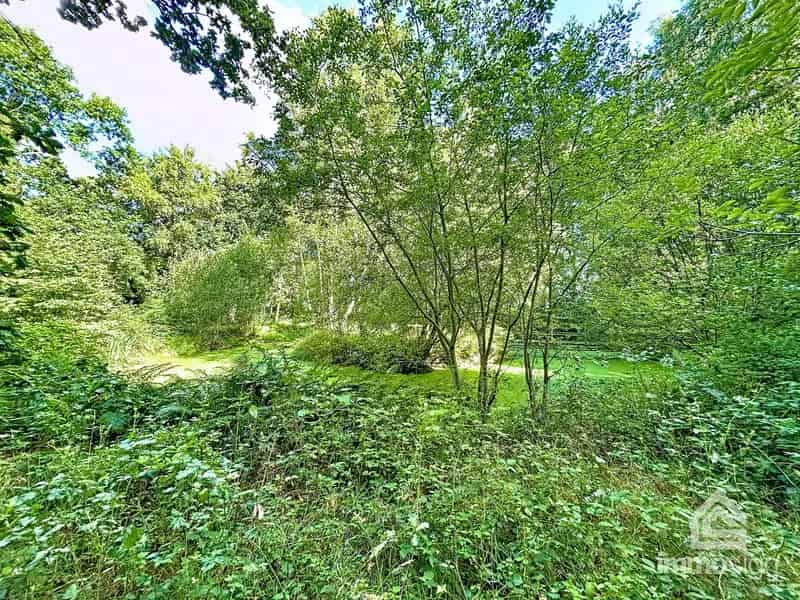 Grond te koop Grote Brogel Peer 9050m2